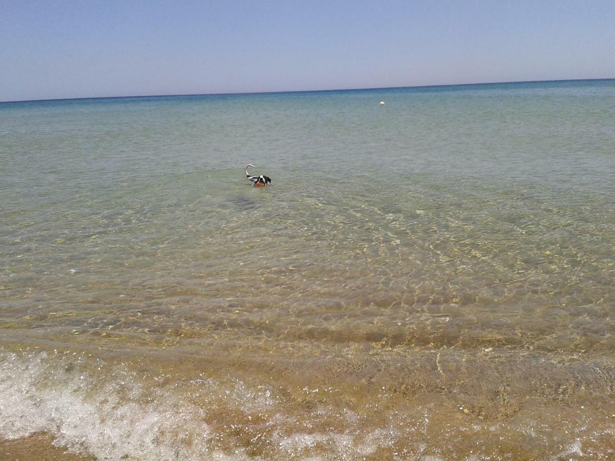 Profumo Di Mare Fronte Spiaggia Lido di Noto Eksteriør bilde